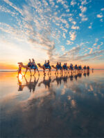 Cable Beach Camels Sunset Photo Print