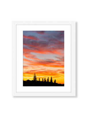 Sunset Silhouettes of the Pine Trees at Geographe Bay in Dunsborough Margaret River Western Australia. Available as a Fine Art Framed Photo Print.