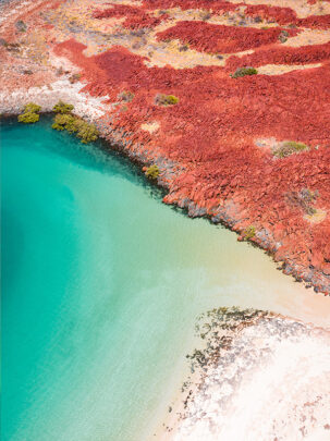 An aerial drone photo of the red rock coast above Withnell Bay in Roeburne Dampier Karratha available as a fine art framed or canvas print From Miles Away