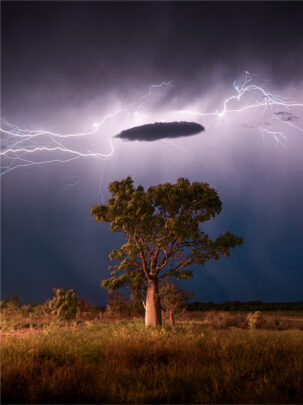 Matt Deakin From Miles Away Boab Tree lightning photo wet season broome western australia framed canvas print