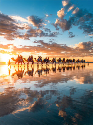 Broome Cable Beach Camels at Sunset. For Sale. Photo Print