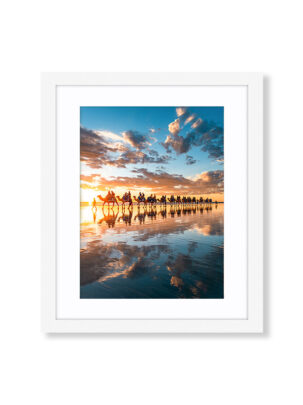 Cable Beach Camels Framed White Photo Print